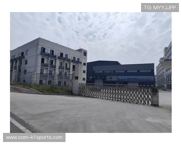 轻量化合作模式在本阶段吸引了大量初创科技企业的品牌尝试